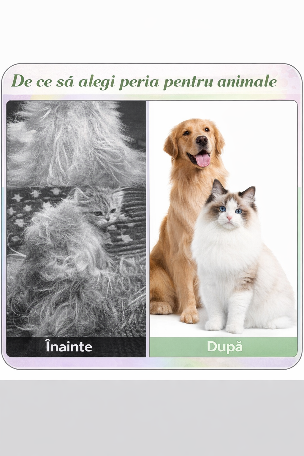 Set 3 Piese pentru Pieptănarea Câinilor și Pisicilor + Îndepărtarea Părului de pe Suprafețe